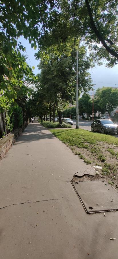 Dorothy Apartment Near Budapest City Park Екстериор снимка